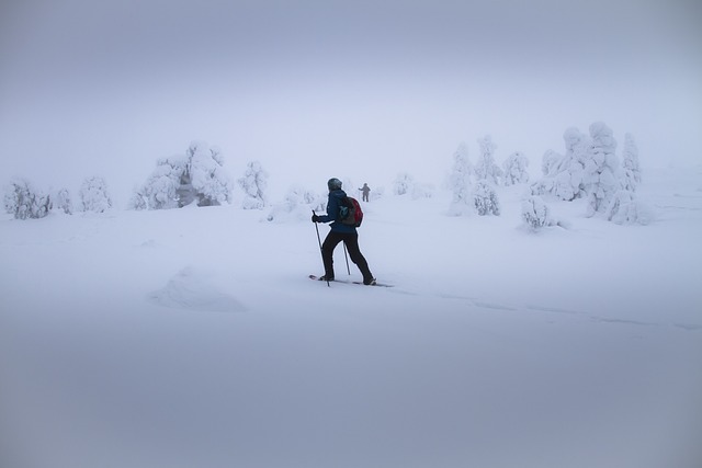 randonnée en hiver en France