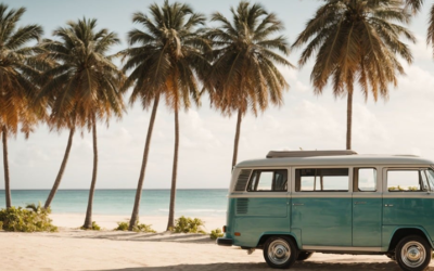 Chute des ventes des vans aménagés : quelles sont les raisons ?
