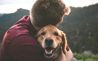 Collier GPS pour chien : comment suivre à la trace son chien ?
